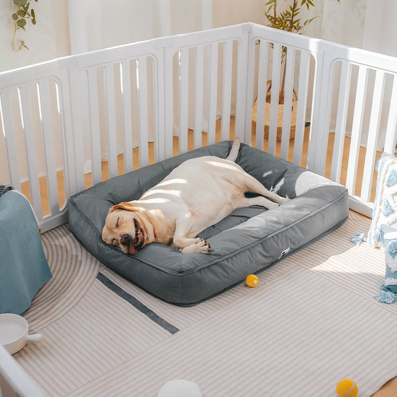 [PAGUE 1 LEVE 2] Cama para Pet Fully Ortopédica - A Prova D'Água e Indestrutivel
